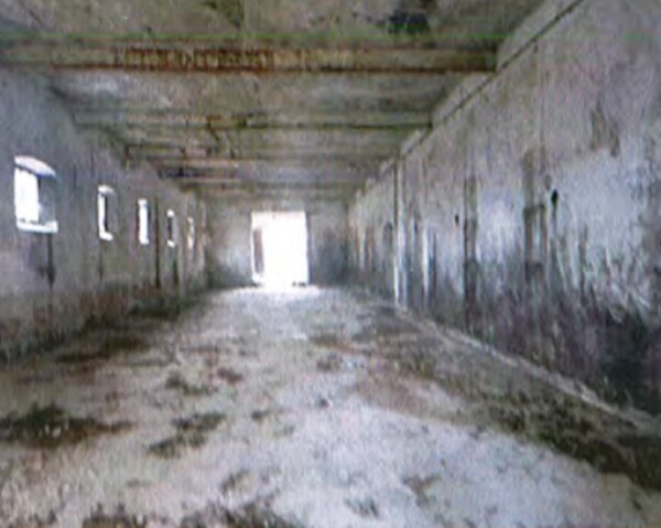 FABBRICATO VIA DEI PATRIOTI - FARRA DI SOLIGO — foto 5