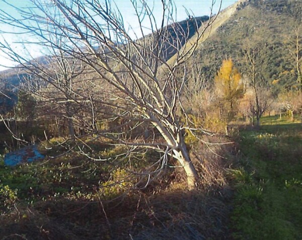 APPARTAMENTO VIA AGNONE MAGGIORE - SORA — foto 9