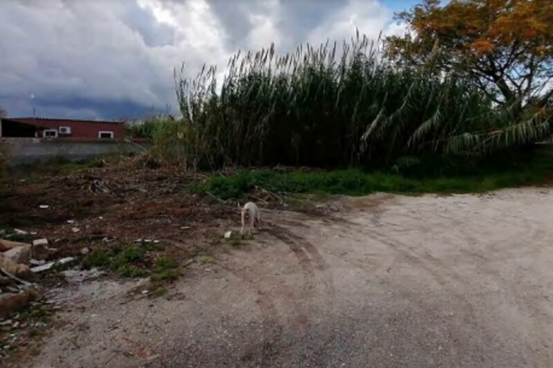 Immagine di TERRENO CONTRADA FANUSA-MILOCCA – SIRACUSA