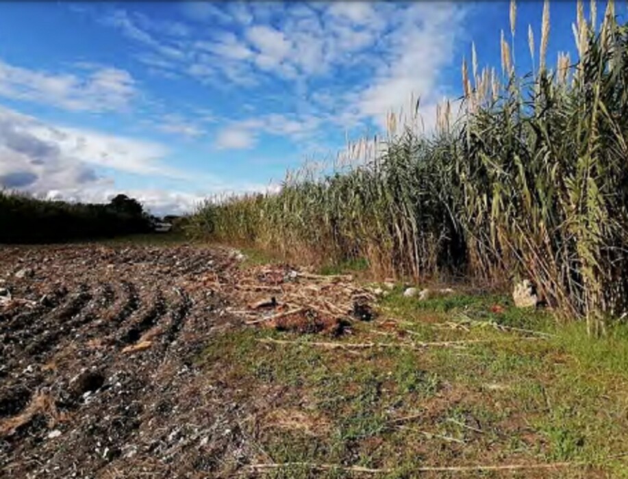 Immagine di TERRENO CONTRADA FANUSA-MILOCCA – SIRACUSA