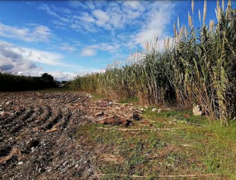 Immagine di TERRENO CONTRADA FANUSA-MILOCCA – SIRACUSA