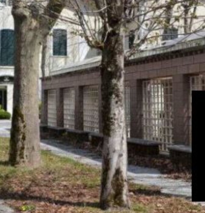 Immagine di MARCHI  –