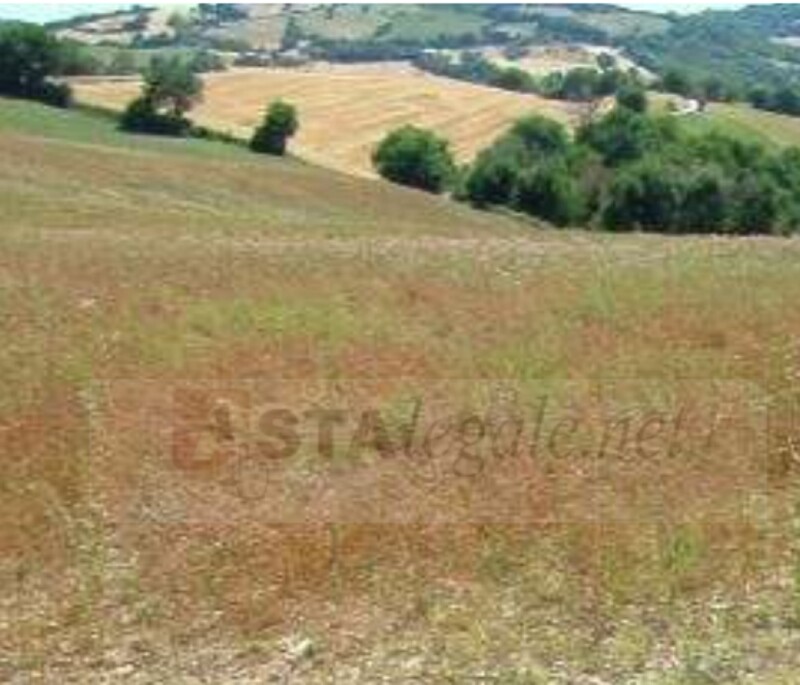 Immagine di APPARTAMENTO FRAZIONE MONTEVECCHIO – PERGOLA