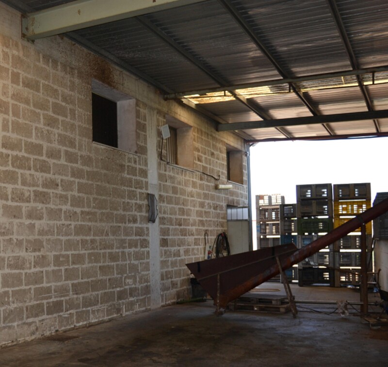 Immagine di CAPANNONE / IMMOBILI INDUSTRIALI VIA VECCHIA PER MANDURIA SN – TORRE SANTA SUSANNA