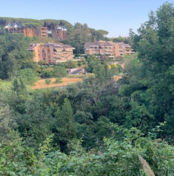 TERRENO LOC. ACQUA  TRAVERSA - ROMA — foto 4