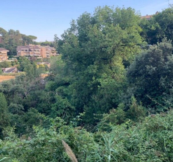 TERRENO LOC. ACQUA  TRAVERSA - ROMA — foto 5