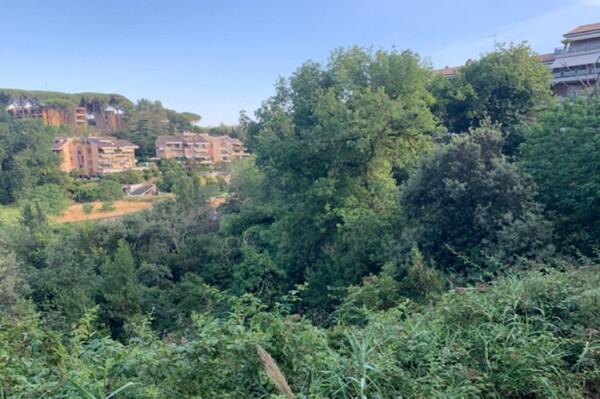 TERRENO LOC. ACQUA  TRAVERSA - ROMA — foto 2
