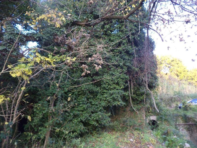 Immagine di FABBRICATO VIA NAZIONALE 4, ISOLA DEL LIRI, FR