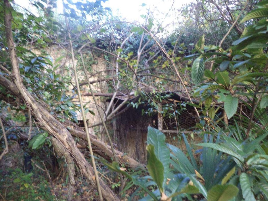 Immagine di FABBRICATO VIA NAZIONALE 4, ISOLA DEL LIRI, FR