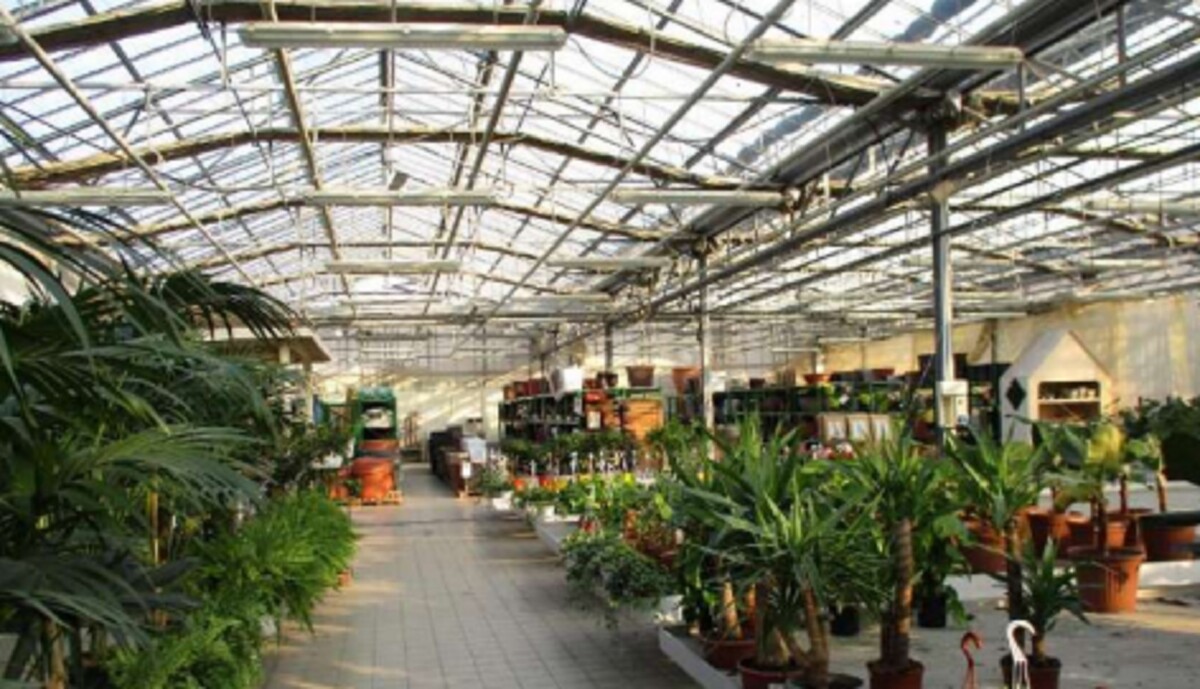 Immagine di VIVAIO VIA RIPAMONTI 549 MILANO