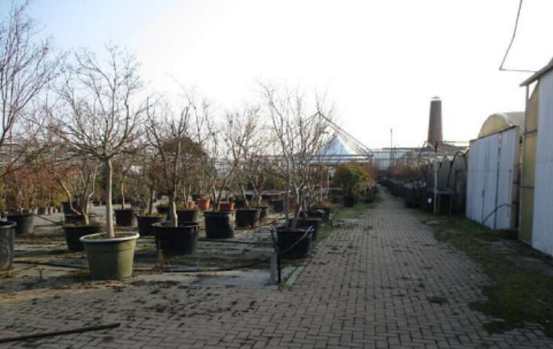 Immagine di VIVAIO VIA RIPAMONTI 549 MILANO