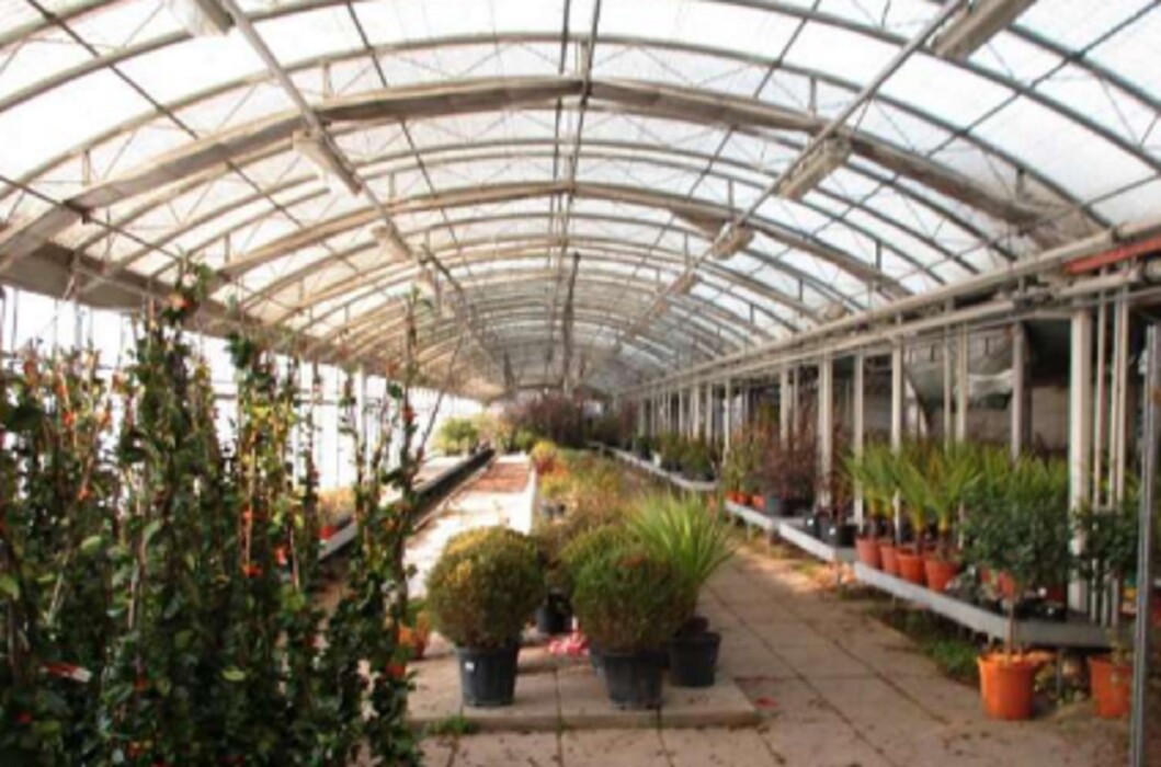 Immagine di VIVAIO VIA RIPAMONTI 549 MILANO