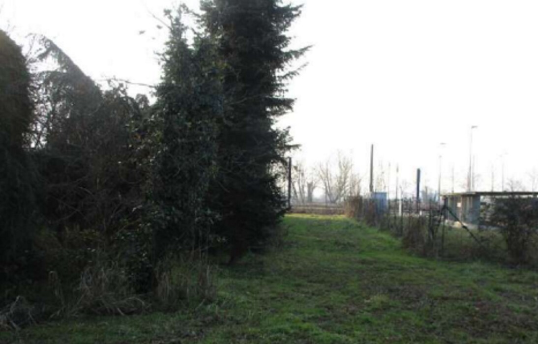 Immagine di VIVAIO VIA RIPAMONTI 549 MILANO