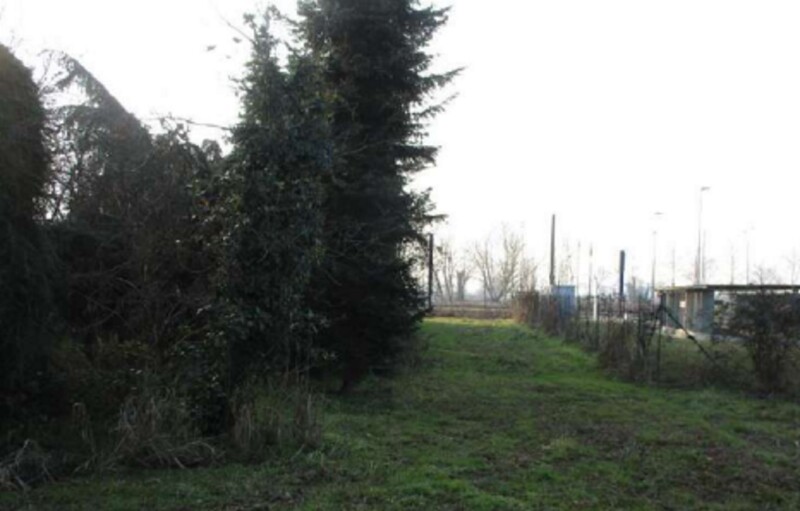 Immagine di VIVAIO VIA RIPAMONTI 549 MILANO