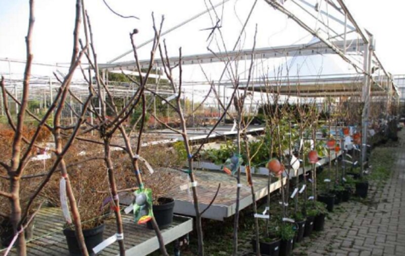 Immagine di VIVAIO VIA RIPAMONTI 549 MILANO