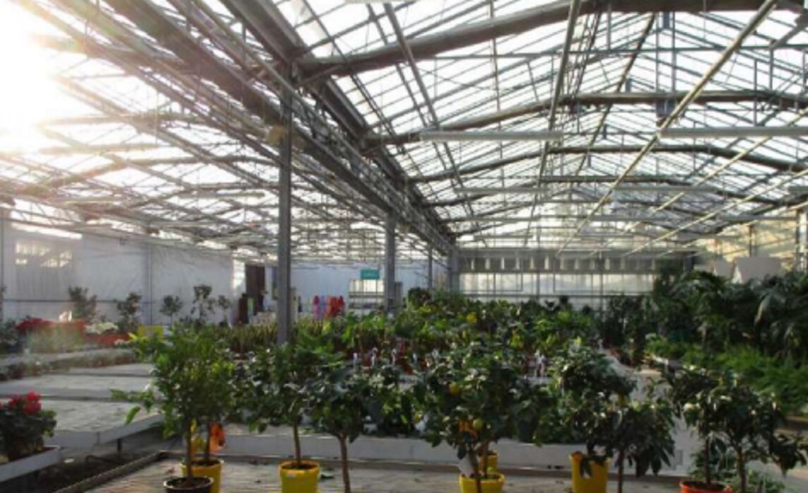 Immagine di VIVAIO VIA RIPAMONTI 549 MILANO