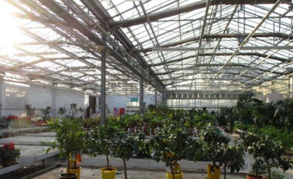 APPARTAMENTO VIA RIPAMONTI GIUSEPPE 549 - MILANO — foto 3