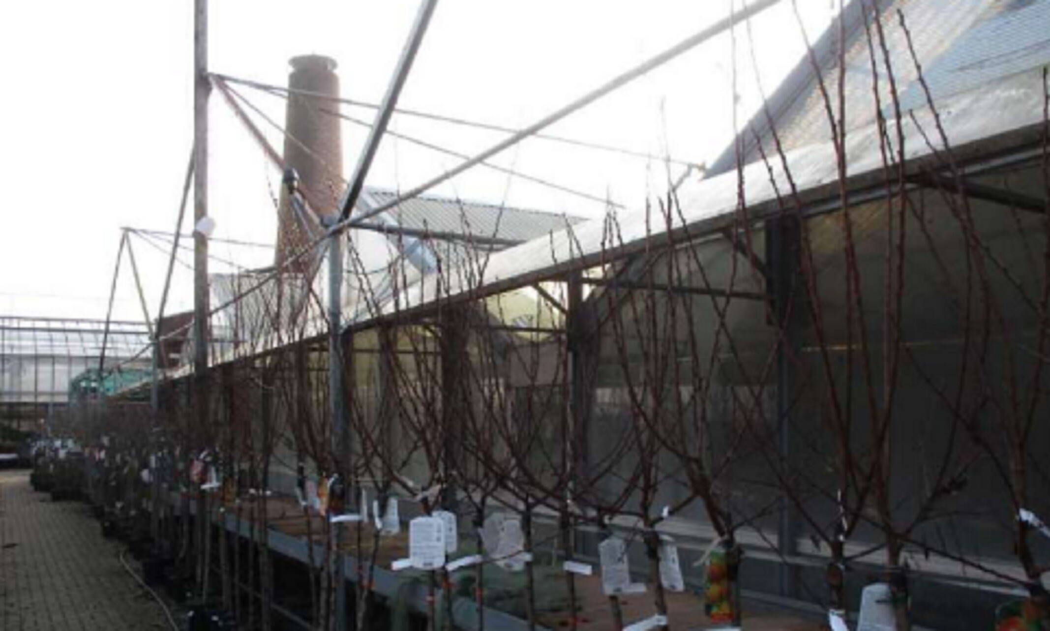 APPARTAMENTO VIA RIPAMONTI GIUSEPPE 549 - MILANO — foto 7