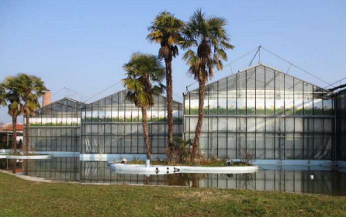 Immagine di VIVAIO VIA RIPAMONTI 549 MILANO