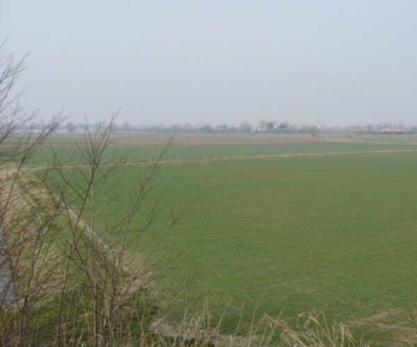 TERRENO, VIA MASETTI, BADIA POLESINE, TV — foto 3