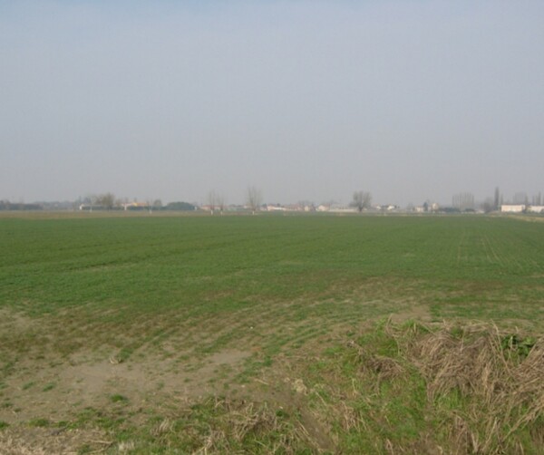 TERRENO, VIA MASETTI, BADIA POLESINE, TV — foto 7
