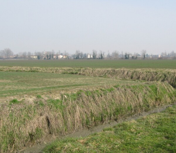TERRENO, VIA MASETTI, BADIA POLESINE, TV — foto 9