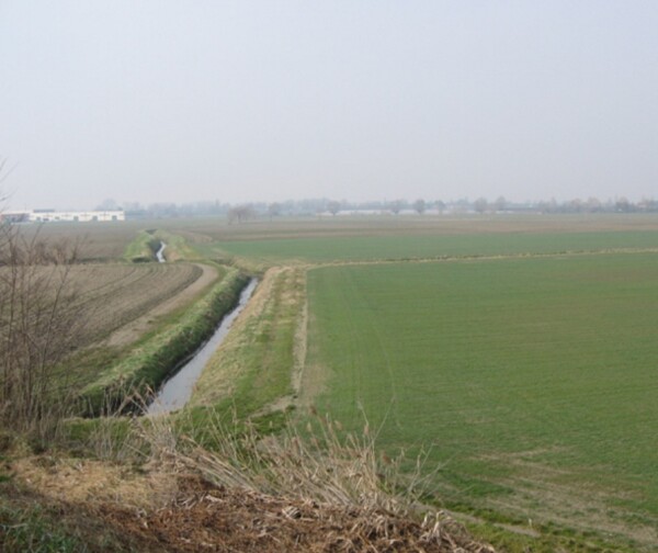TERRENO, VIA MASETTI, BADIA POLESINE, TV — foto 4