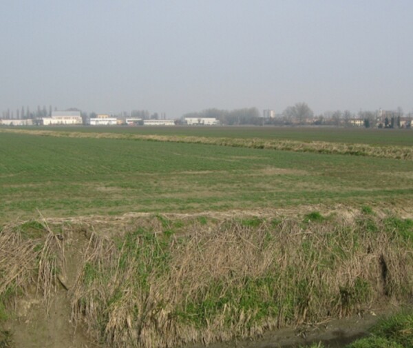 TERRENO, VIA MASETTI, BADIA POLESINE, TV — foto 8