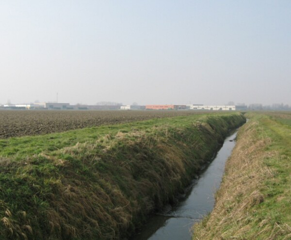 TERRENO, VIA MASETTI, BADIA POLESINE, TV — foto 6