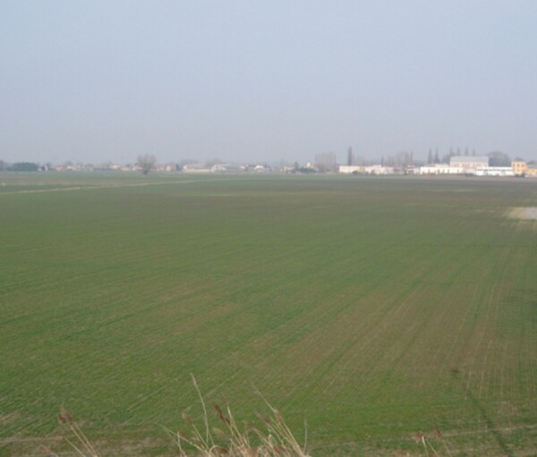 TERRENO, VIA MASETTI, BADIA POLESINE, TV — foto 2