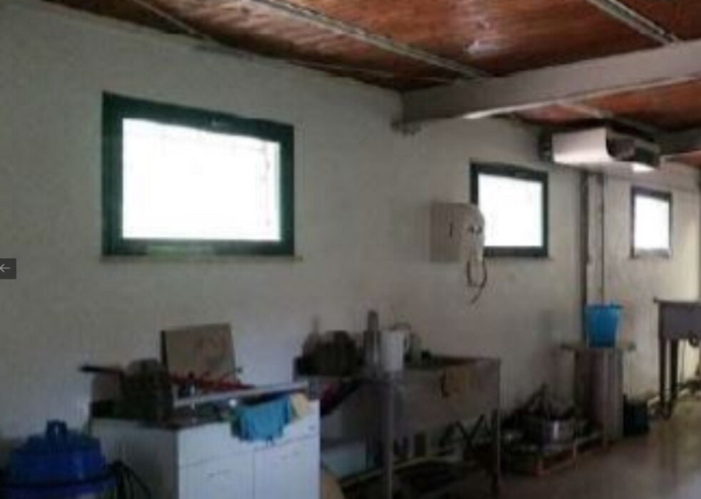 Immagine di AZIENDA AGRICOLA, LOCALITA’ PINO – COLLAZZONE (PG)