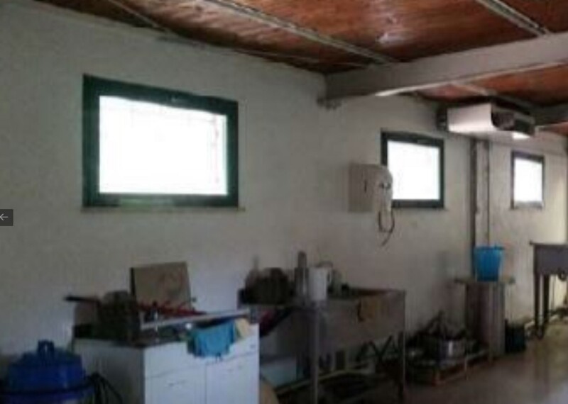 Immagine di AZIENDA AGRICOLA, LOCALITA’ PINO – COLLAZZONE (PG)