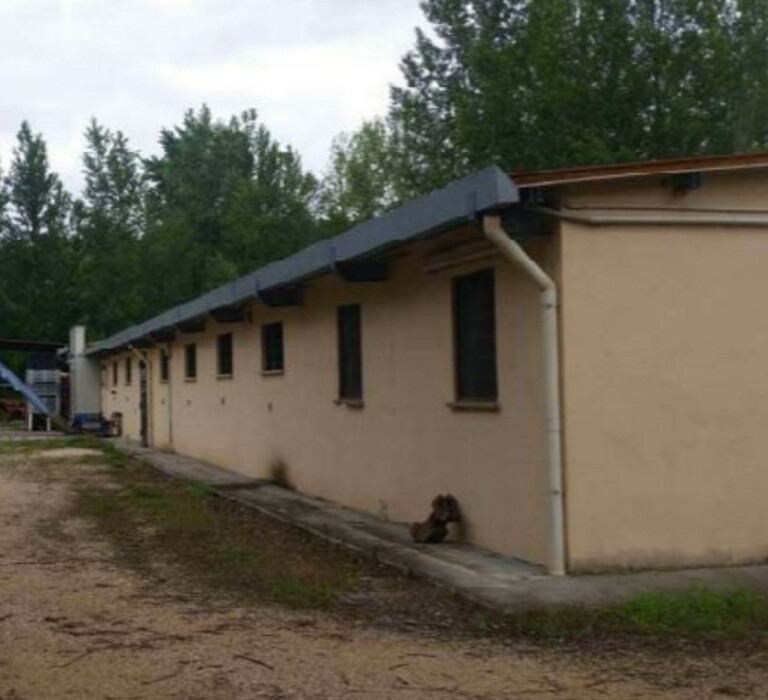 Immagine di AZIENDA AGRICOLA, LOCALITA’ PINO – COLLAZZONE (PG)