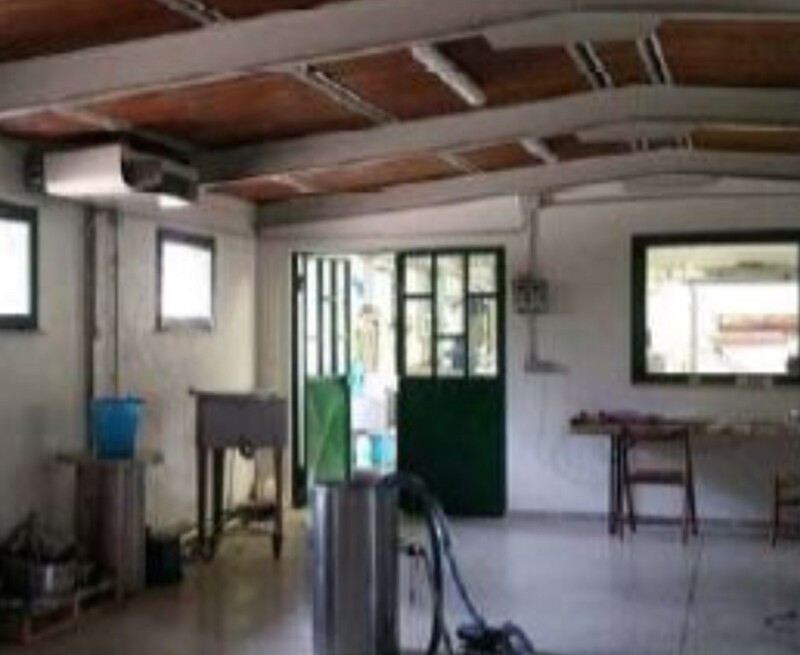 Immagine di AZIENDA AGRICOLA, LOCALITA’ PINO – COLLAZZONE (PG)