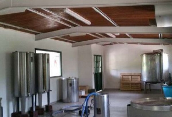 AZIENDA AGRICOLA, LOCALITA' PINO - COLLAZZONE (PG) — foto 4