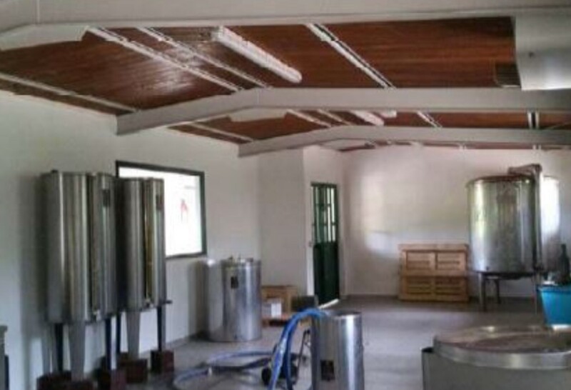 Immagine di AZIENDA AGRICOLA, LOCALITA’ PINO – COLLAZZONE (PG)