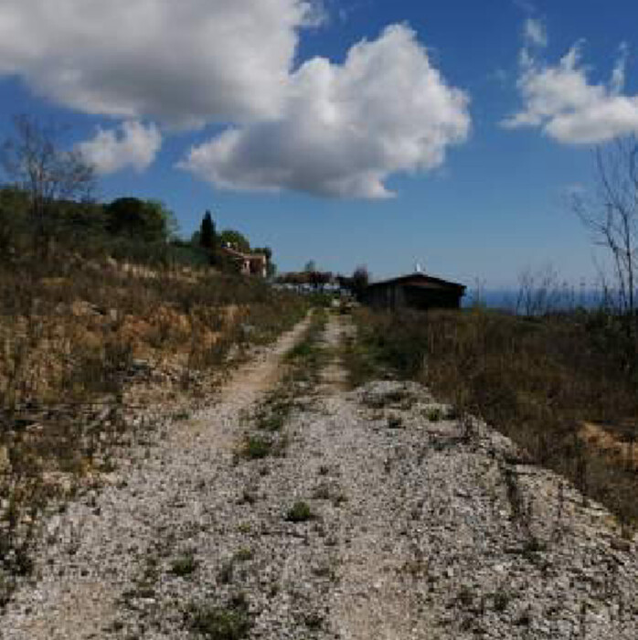 Immagine di TERRENI C.DA SAN GIOVANNI MONTEFIORE DELL’ASO