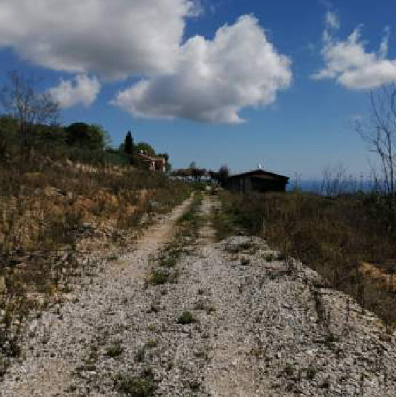 Immagine di TERRENI C.DA SAN GIOVANNI MONTEFIORE DELL’ASO