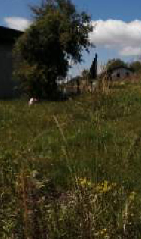 Immagine di TERRENI C.DA SAN GIOVANNI MONTEFIORE DELL’ASO