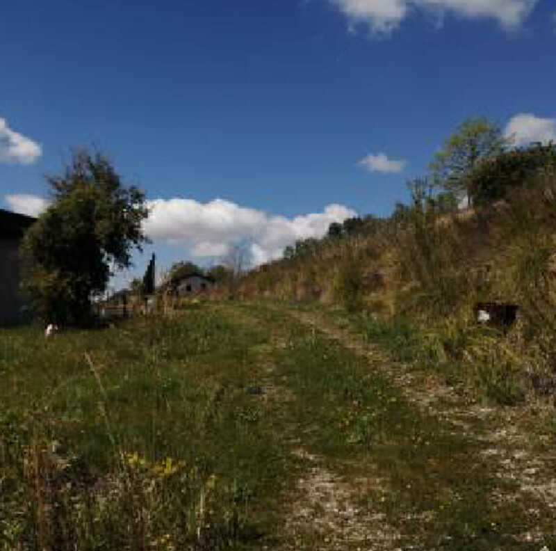 Immagine di TERRENI C.DA SAN GIOVANNI MONTEFIORE DELL’ASO