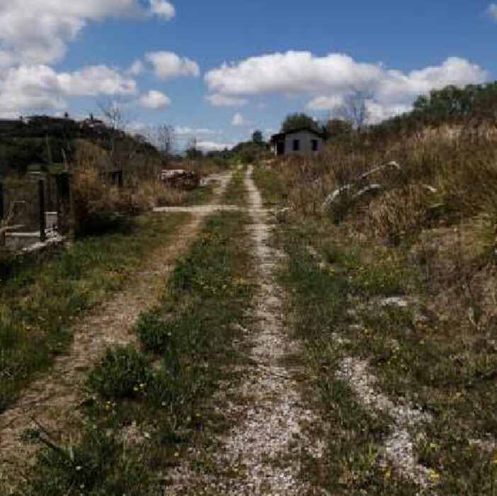Immagine di TERRENI C.DA SAN GIOVANNI MONTEFIORE DELL’ASO