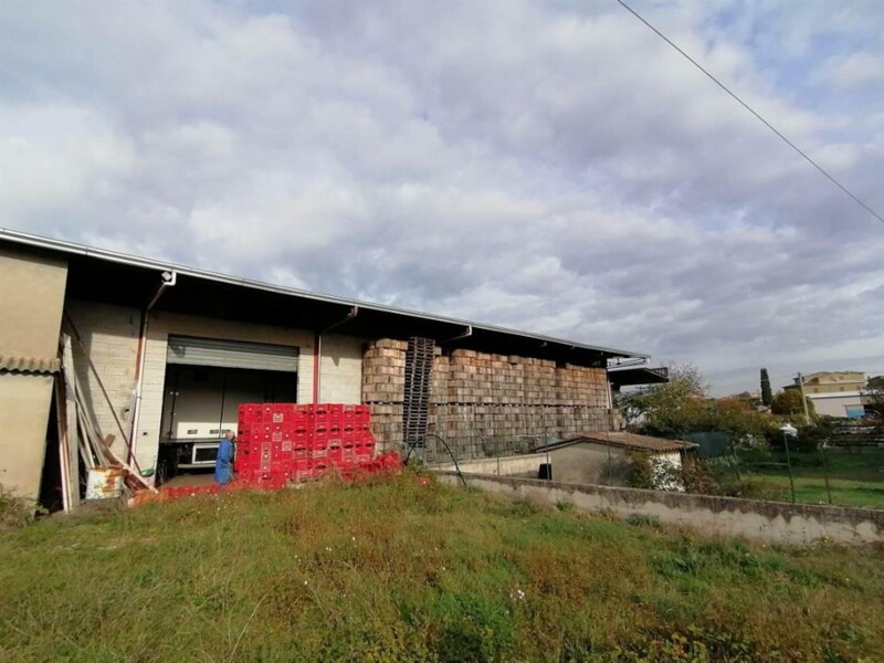 Immagine di CAPANNONE / IMMOBILI INDUSTRIALI VIA FERRARA – OSTELLATO