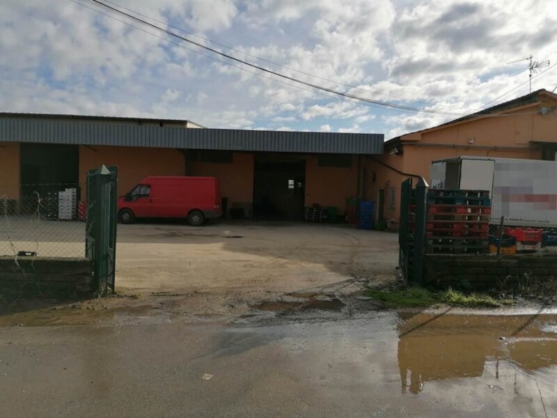 Immagine di CAPANNONE / IMMOBILI INDUSTRIALI VIA FERRARA – OSTELLATO