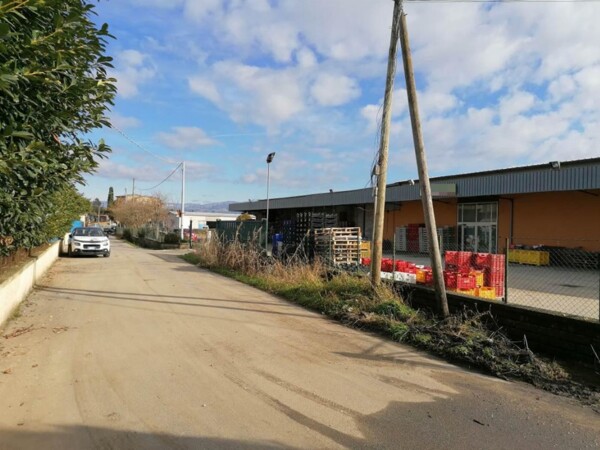 CAPANNONE / IMMOBILI INDUSTRIALI VIA FERRARA - OSTELLATO — foto 2