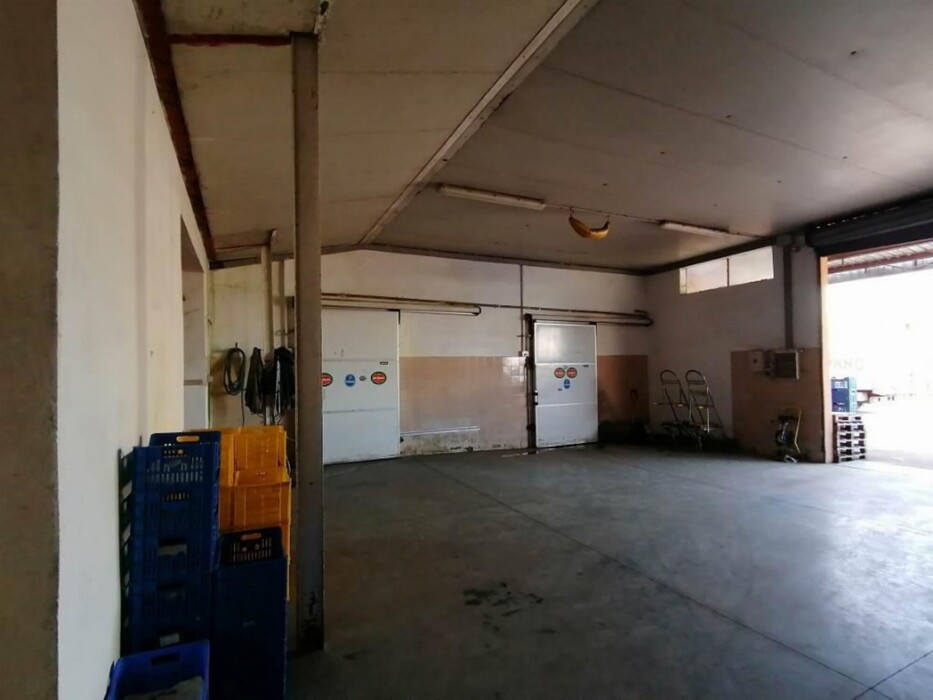 Immagine di CAPANNONE / IMMOBILI INDUSTRIALI VIA FERRARA – OSTELLATO