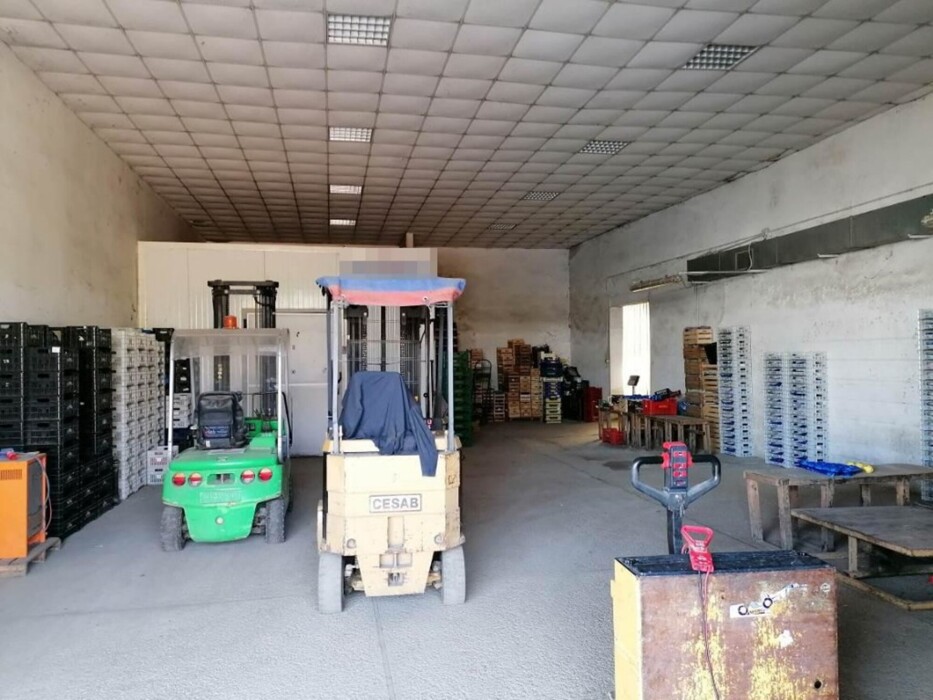 Immagine di CAPANNONE / IMMOBILI INDUSTRIALI VIA FERRARA – OSTELLATO