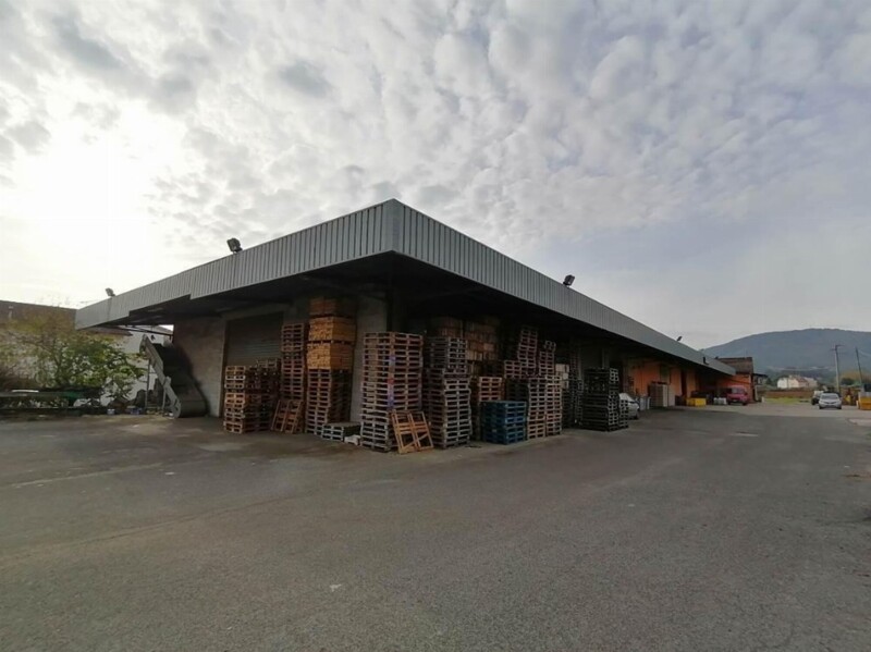 Immagine di CAPANNONE / IMMOBILI INDUSTRIALI VIA FERRARA – OSTELLATO