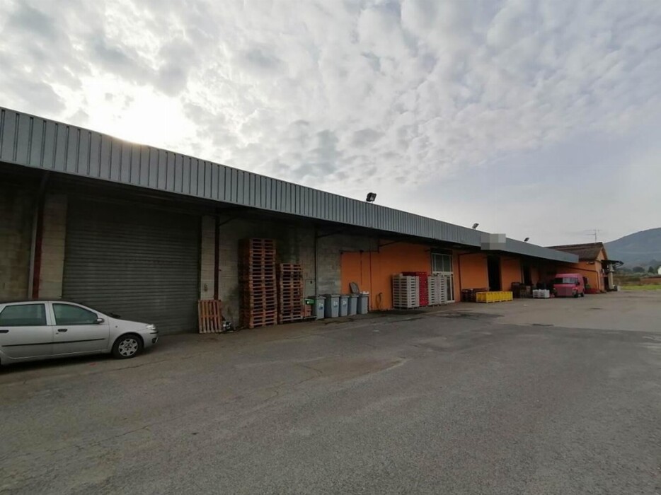 Immagine di CAPANNONE / IMMOBILI INDUSTRIALI VIA FERRARA – OSTELLATO