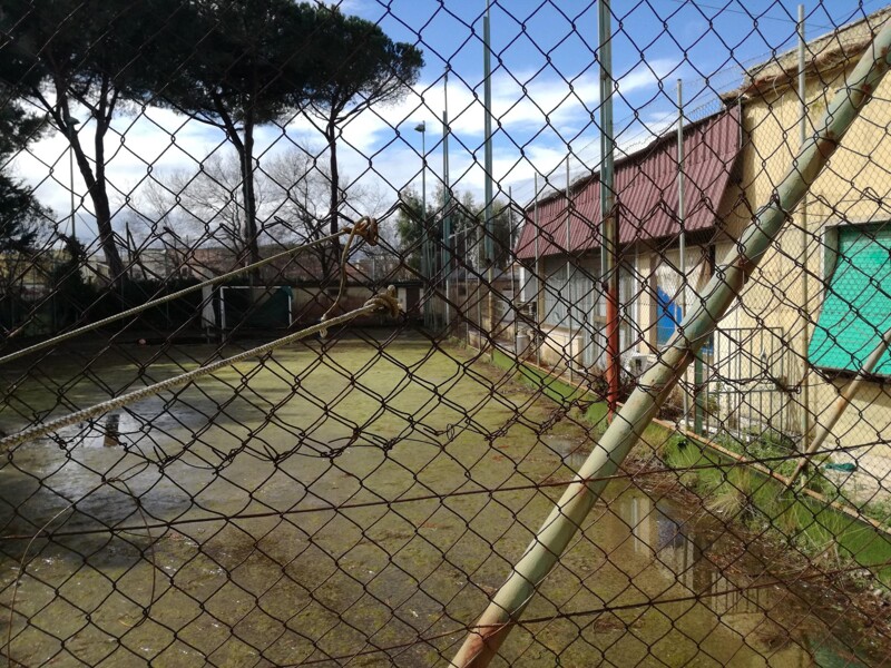 Immagine di VILLETTA VIA PREBENDA – ANZIO (RM)