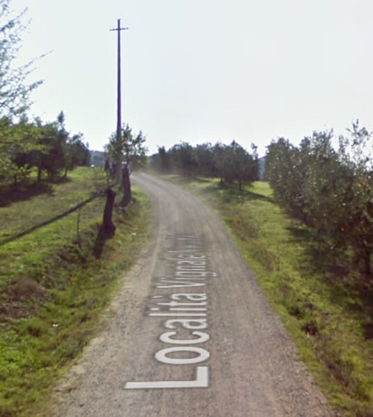 TERRENO LOCALITÀ VIGNALE - PIOMBINO — foto 2